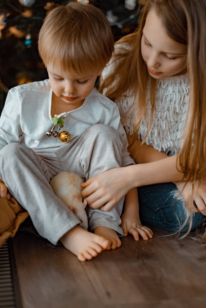 Children near the Christmas tree, brother and sister are playing with a tame rat. Christmas holidays. Merry Christmas and Happy New Year concept. - Photo, Image