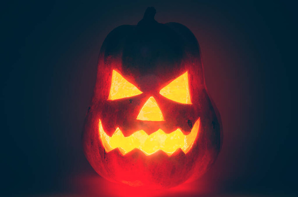 halloween pumpkin on a black background - Φωτογραφία, εικόνα