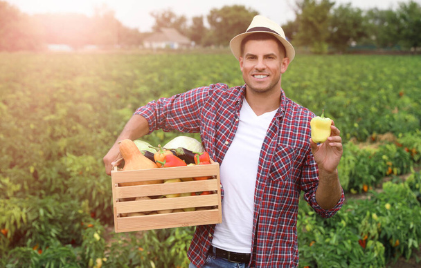 Agricultor con cajón de madera lleno de diferentes verduras en el campo. Tiempo de cosecha - Foto, Imagen