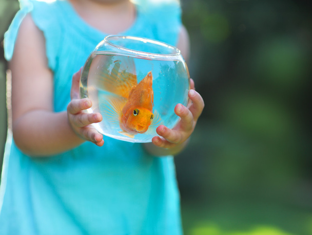 Petite fille tenant un bol à poisson avec un poisson rouge sur une nature
  - Photo, image
