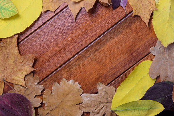 As folhas de outono expõem-se em um círculo em um contexto de madeira marrom. No centro há um espaço vazio para o texto - Foto, Imagem