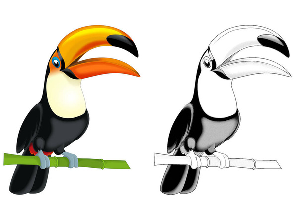 cartoon sketch scene with toucan bird on white background - illustration for children - Foto, imagen