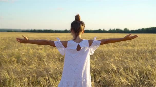 Rozkošné školačka dívka chodí šťastně v pšeničném poli na teplé a slunečné letní den - Záběry, video