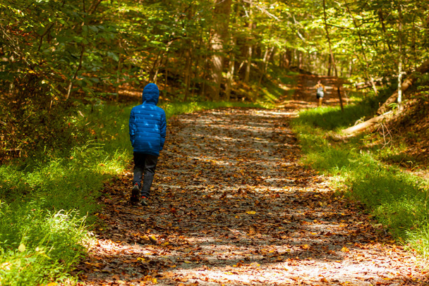 Un niño que lleva un abrigo de invierno con capucha camina solo en un sendero cubierto de hojas caídas de otoño. El sendero atraviesa un bosque y está sombreado. Una imagen de concepto de caída con algún misterio. - Foto, imagen