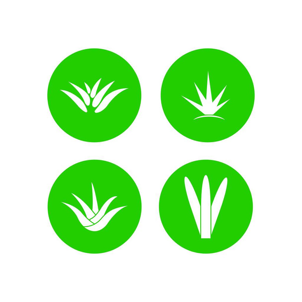 aloe vera logo stok illüstrasyon tasarımı - Vektör, Görsel