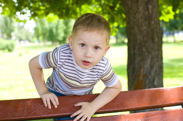 portrét čtyři rok starý chlapec - Fotografie, Obrázek