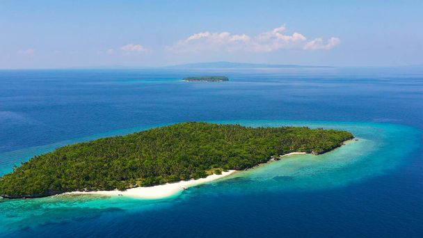 トロピカルアイランドの完璧な白い砂浜。フィリピンのマハーバ島. - 写真・画像