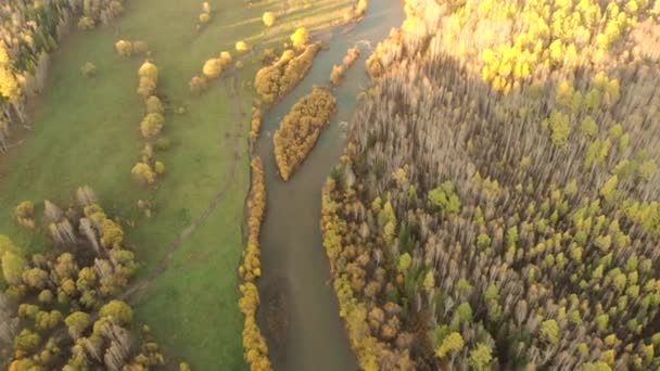 Αεροφωτογραφία από drone πάνω από ένα ποτάμι καμπύλη, πτώση φαλακρός δάσος και επαρχιακός δρόμος. - Πλάνα, βίντεο