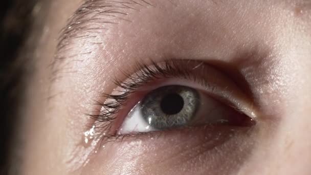 Imágenes de cerca de una chica con lágrimas en los ojos grises - Imágenes, Vídeo