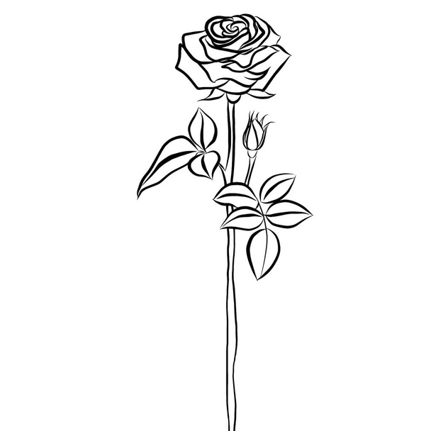 Gyönyörű rózsa csokor virágok és zöld levelek növekedését fehér háttér, kézzel rajzolt, kreatív illusztráció lapos design.Virágos minta, dekoratív sorozat tapéta.Valentin-napi koncepció. - Fotó, kép
