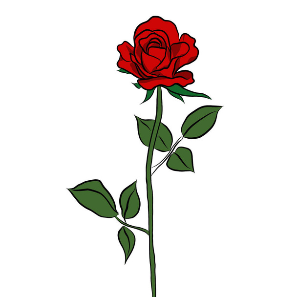 描かれたライン、フラットデザインのイラストで創造的な白い背景に美しいバラの花束の花。花柄、壁紙の装飾シリーズ。バレンタインデーのコンセプト. - 写真・画像