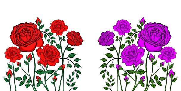 Line drawn, Beautiful rose bouquet flowers on white background, creative with illustration in flat design. Floral pattern, decorative series for wallpaper. Valentine day concept. - Photo, Image