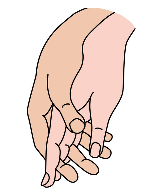 Naisen ja miehen käsi. Konsepti - hellyys, rakkaus ja intohimo. Nainen ja mies pitävät toisiaan kädestä. Lineaarinen väri käsi piirustus. Vektori. Eristetty valkoisella. miesten ja naisten kädet.  - Vektori, kuva