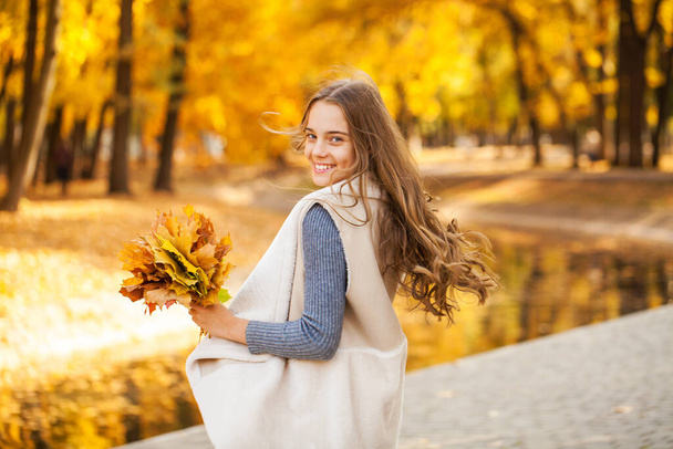 Young beautiful girl in the autumn park - Zdjęcie, obraz