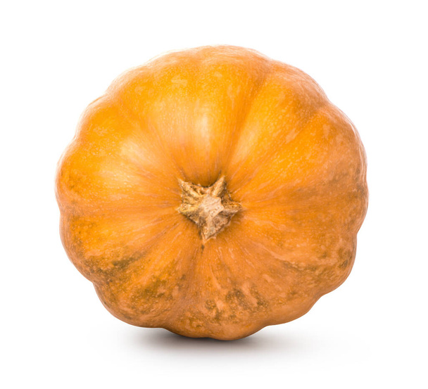 Oranje ronde pompoen geïsoleerd op een witte achtergrond - Foto, afbeelding