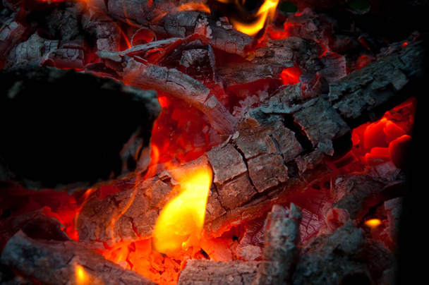 bonfire closeup. fire and firewood turned into coal ash. burning tree branches wooden logs. picnic on camping. warm up the stove. sparking balefire with flames light. Wood campfire. fireplace. - Photo, Image