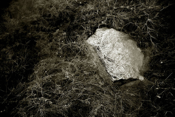 湖の岸に水の中の石。黒と白の水の中の一つの石. - 写真・画像