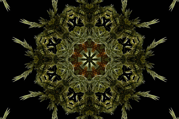 motif abstrait sans couture coloré avec des motifs floraux de fleurs et de feuilles   - Photo, image