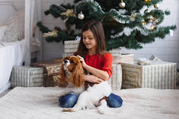 little girl and puppy and a gift near the New Year tree - Photo, Image