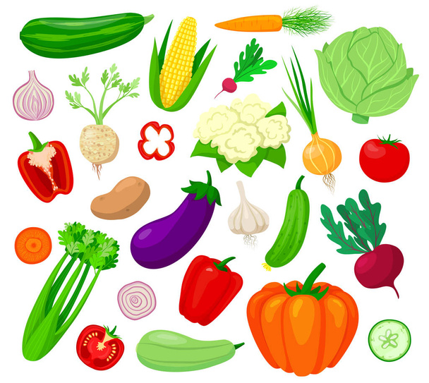 Vegetables vector illustration set, cartoon flat veg collection of tomato carrot eggplant cabbage pepper pumpkin cucumber garlic onion - Вектор, зображення
