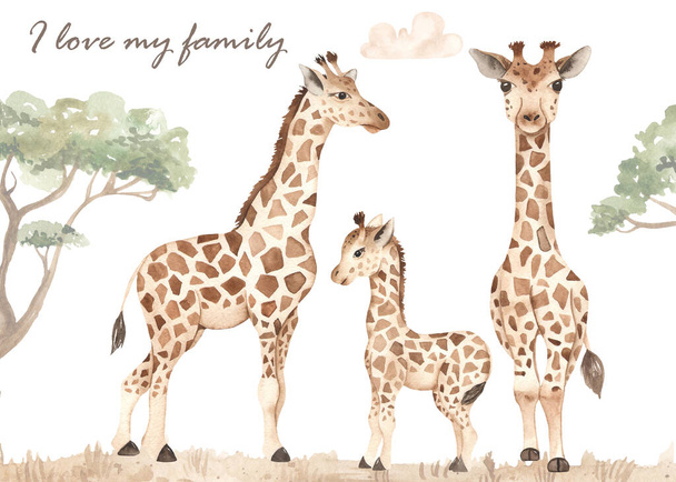 Giraffe family, mom, dad, kid, illustration, safari, savanna watercolor card  - Photo, Image