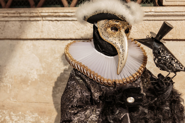 Personne masquée au Carnaval de Venise 2014
 - Photo, image
