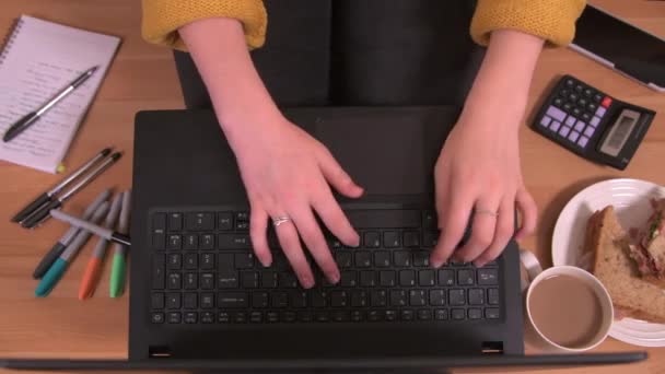 Persona que trabaja a través de su descanso para el almuerzo en casa usando una computadora portátil - Metraje, vídeo