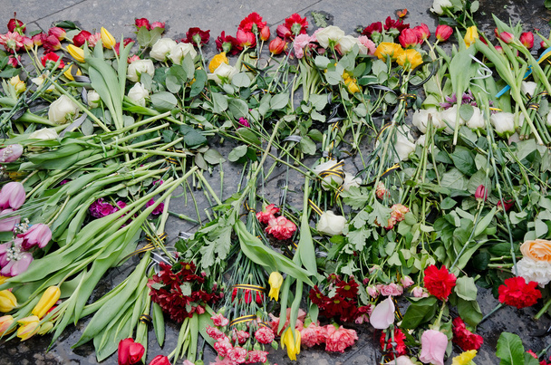 květiny na počest těch zabitých v maidan - Fotografie, Obrázek