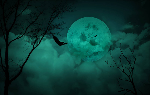 Halloween-Konzept: Wald-Horror-Hintergrund mit Vollmond und toten Bäumen am Nachthimmel. - Foto, Bild