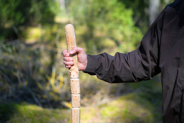 Zblízka muž držící hůl v lese. Ručně vyrobené dřevěné vycházkové tyče v ruce chodce na slunný den - Fotografie, Obrázek