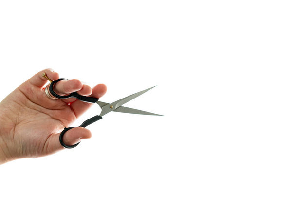 Close up of professional hairdresser holding scissors isolated on white background. Barber work tool - scissors on bright backdrop with space for text - Photo, Image