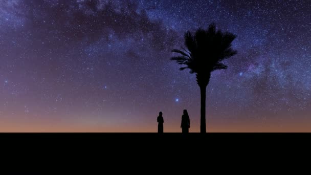 Пальмове дерево вночі араби мусульмани - Кадри, відео