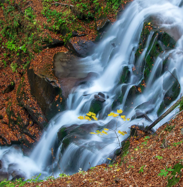 Hermosa cascada de otoño. Hojas de arce amarillo en una pequeña rama con un chorro de cascada de montaña en el fondo. Shypot, Cárpatos montañas, Ucrania - Foto, imagen