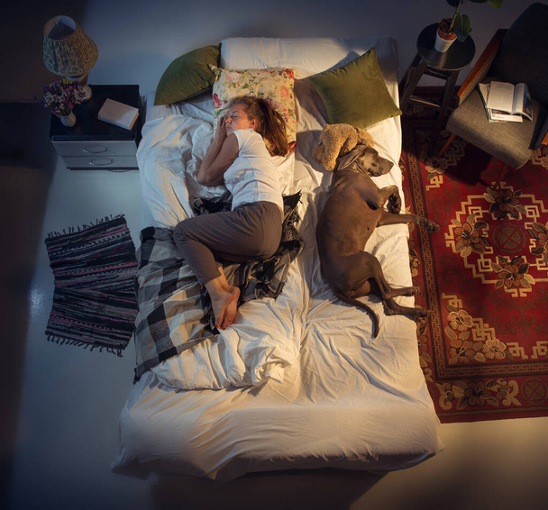 Portrait of a woman, female breeder sleeping in the bed with her dog at home - Foto, Imagem