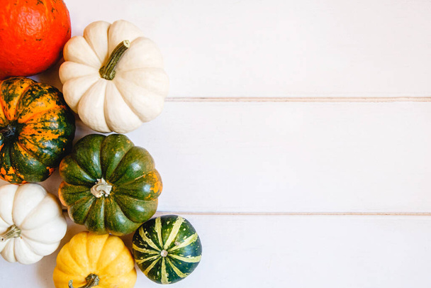Colorful pumpkins on a white wooden background. Flat layout with space for text - Foto, Imagen