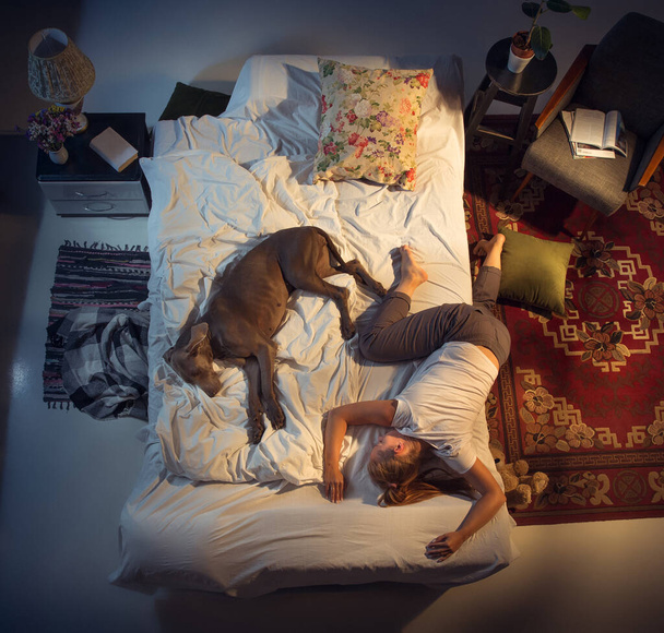Portrait of a woman, female breeder sleeping in the bed with her dog at home - 写真・画像