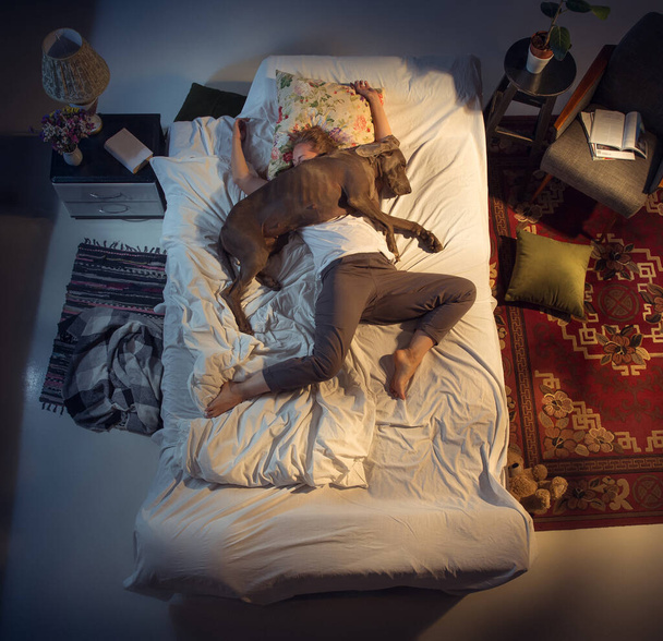女性の肖像、自宅で犬とベッドで寝ている女性の繁殖家 - 写真・画像