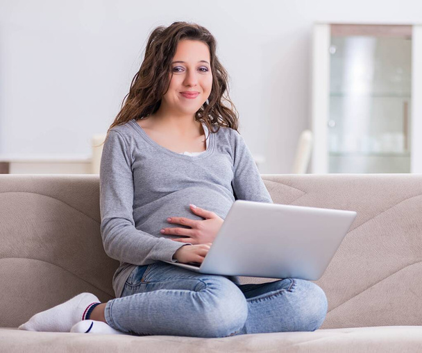 Mujer embarazada trabajando en el ordenador portátil sentado en el sofá - Foto, Imagen