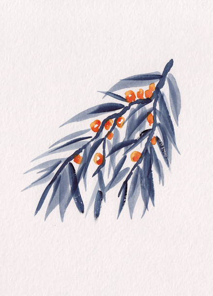 Stock aquarel schilderen van duindoorn tak met bladeren en sinaasappelbessen in traditionele oosterse stijl. Ideaal voor gebruik in de geneeskunde, voedsel en olie pakket, cosmetica en bloemen achtergronden. - Foto, afbeelding