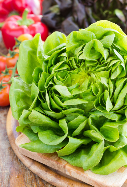 Зеленый и красный дуб салат с помидорами и паприкой крупным планом
  - Фото, изображение