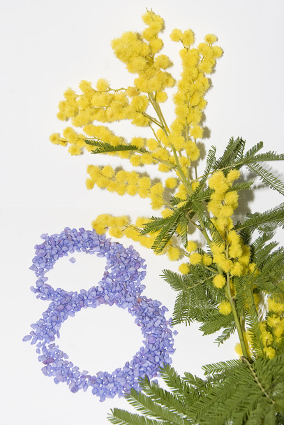 Journée internationale de la femme fleur de mimosa
 - Photo, image