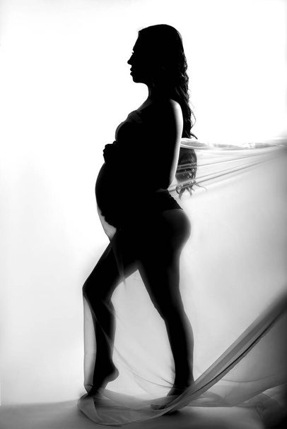 Pregnant girl on white background - Fotoğraf, Görsel