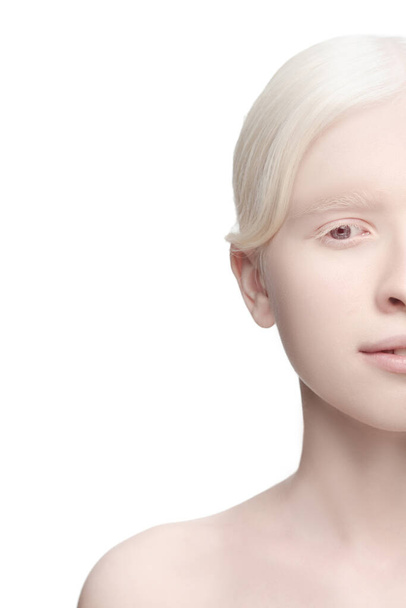 Portrait of beautiful albino woman isolated on white studio background. Beauty, fashion, skincare, cosmetics concept. - Фото, зображення