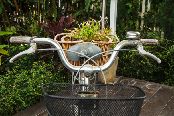 Cesta de bicicleta de flores
 - Foto, Imagem