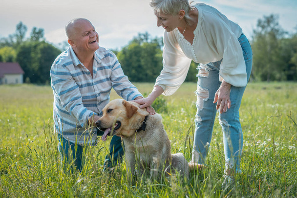 heureux couple de personnes âgées jouent avec labrador retriever chien dans le parc d'été ensoleillé - Photo, image