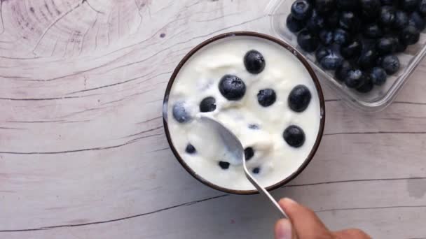 gros plan de yaourt frais avec des baies bleues dans un bol  - Séquence, vidéo