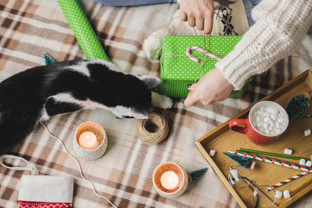 Young woman sits on plaid in cozy knitted woolen white sweater, socks and wraps Christmas gift in polka dot wrapping paper. Funny black and white tuxedo cat is playing nearby. - Photo, Image