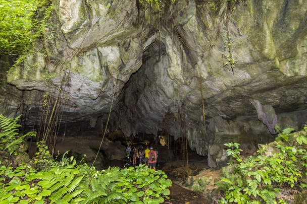 マレーシアのMulu国立公園のラング洞窟 - 写真・画像
