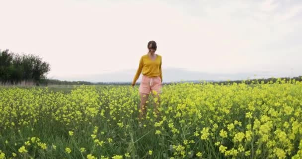 Genç bir kadın tarlada yürürken ve sarı çiçeklere dokunurken mutlu olur. Doğanın tadını çıkaran bir kadın. - Video, Çekim