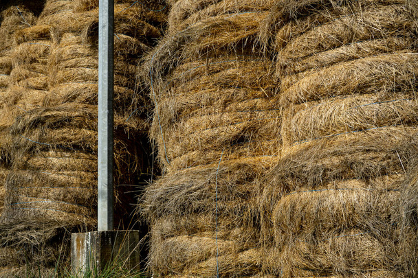 El cobertizo de almacenamiento de heno lleno de fardos en la granja, granja de establos de tierra rural. Temporada de otoño - Foto, Imagen
